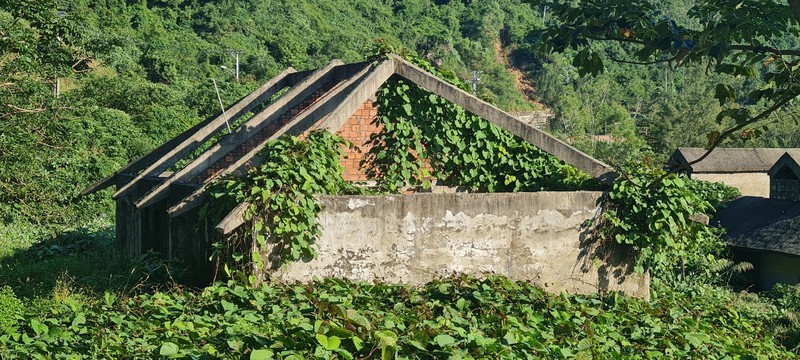 Can canh loat biet thu bo hoang duoi chan nui Son Tra o Da Nang-Hinh-8