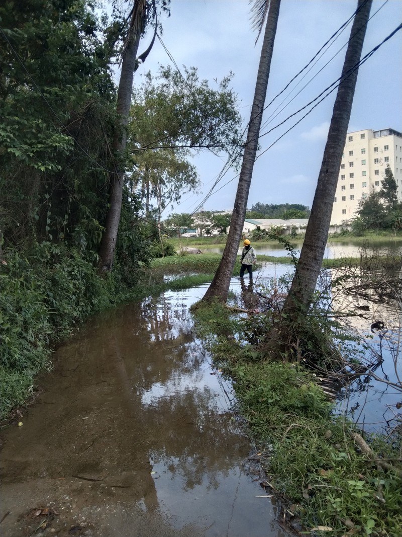 Quang Ngai: Dan keo len nha may thep Hoa Phat keu cuu vi ngap nuoc-Hinh-2