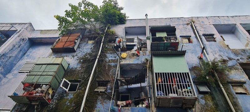 Da Nang thong nhat thuc hien di doi, giai toa 3 khu chung cu-Hinh-10