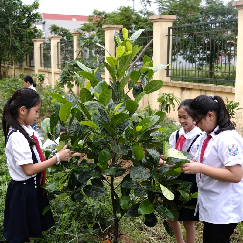 “Quy 1 trieu cay xanh cho Viet Nam“: Lan toa tinh yeu thien nhien den voi HS-Hinh-2