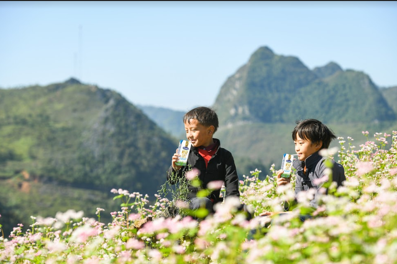 No luc ben bi de tre em vung cao duoc den truong, uong sua-Hinh-6