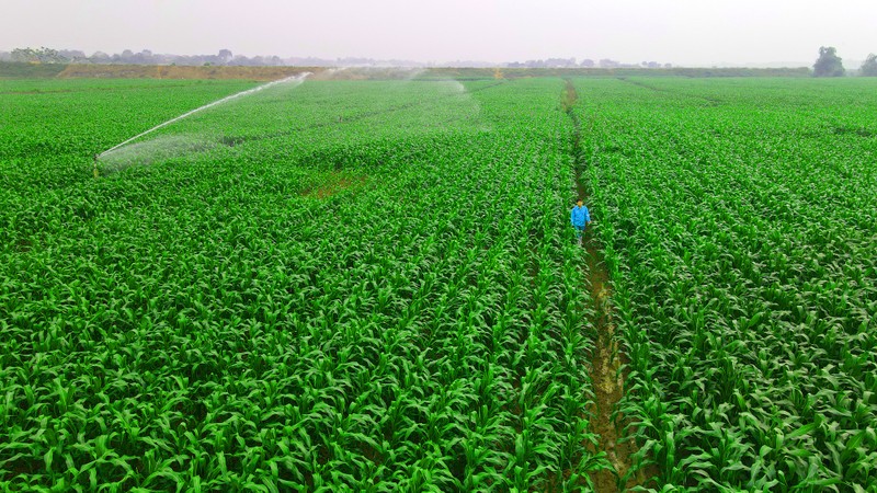 Mo hinh phat trien ben vung “Vinamilk Green Farm” duoc chia se tai hoi nghi sua toan cau-Hinh-7