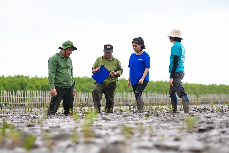 Canh rung Net Zero VINAMILK tai Cau Mau don nhung dan chim tro ve