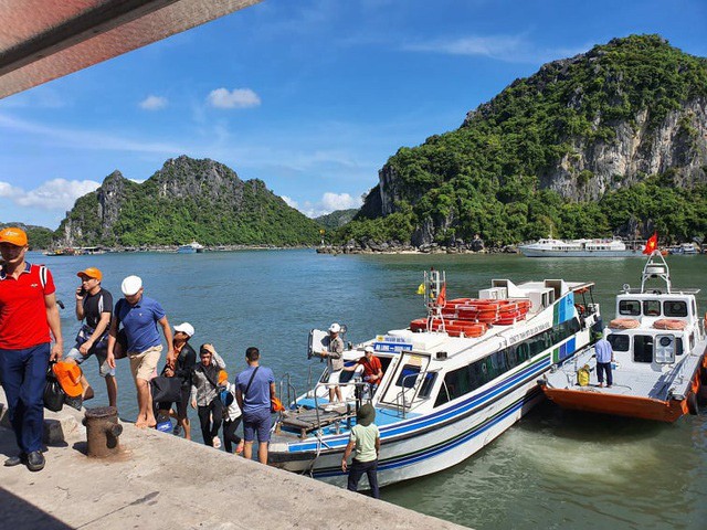 Can trong bay lua dao tour du lich gia sieu khuyen mai dip Tet