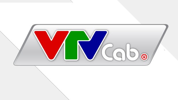 IPO e am, VTVCab van len san chung khoan voi gia ngat nguong-Hinh-4