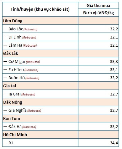 Gia ca phe hom nay 9/9 tang nhe 100 -200 dong/kg