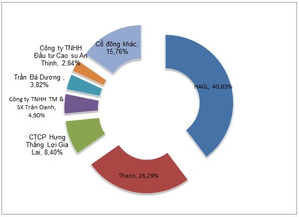 Duoc Thaco bom 1 ty USD nhung vi sao co phieu HAGL mai chi bang ly tra da?