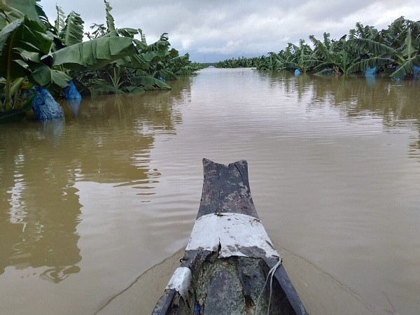 Hien tuong bat thuong, 1.500 ha trai cay cua bau Duc tai Lao bi ngap lut-Hinh-2