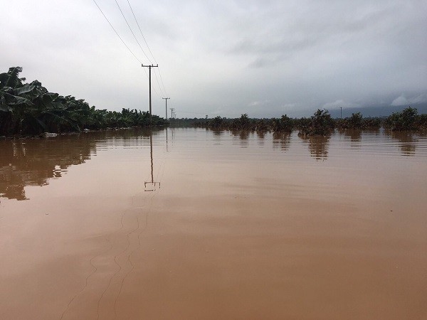 Hien tuong bat thuong, 1.500 ha trai cay cua bau Duc tai Lao bi ngap lut-Hinh-7