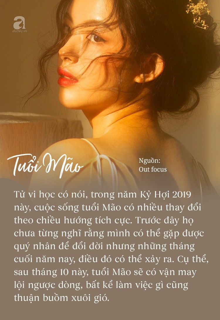 Chuc mung 3 con giap dai quy dai phuoc, gap nhieu may man vao cuoi nam 2019-Hinh-2