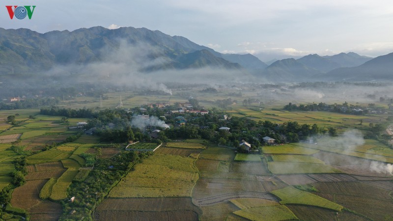 Ngam ve dep cua canh dong Muong Lo truoc khi bi anh huong vi cac du an-Hinh-2