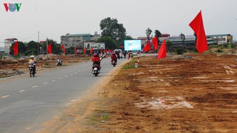 Ngam ve dep cua canh dong Muong Lo truoc khi bi anh huong vi cac du an-Hinh-7