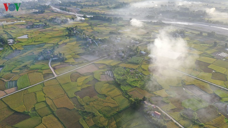 Ngam ve dep cua canh dong Muong Lo truoc khi bi anh huong vi cac du an