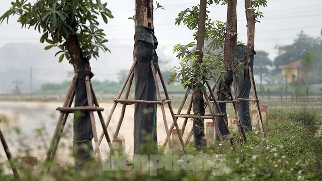 Ngam loc non hang hoa sua chuyen tu Ha Noi len bai rac Nam Son-Hinh-12