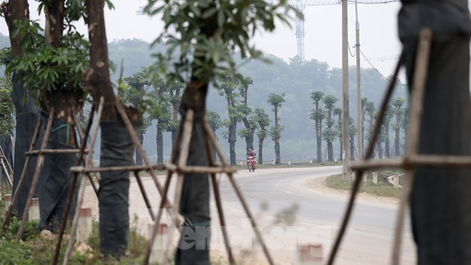 Ngam loc non hang hoa sua chuyen tu Ha Noi len bai rac Nam Son-Hinh-13