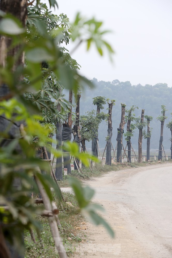 Ngam loc non hang hoa sua chuyen tu Ha Noi len bai rac Nam Son-Hinh-2