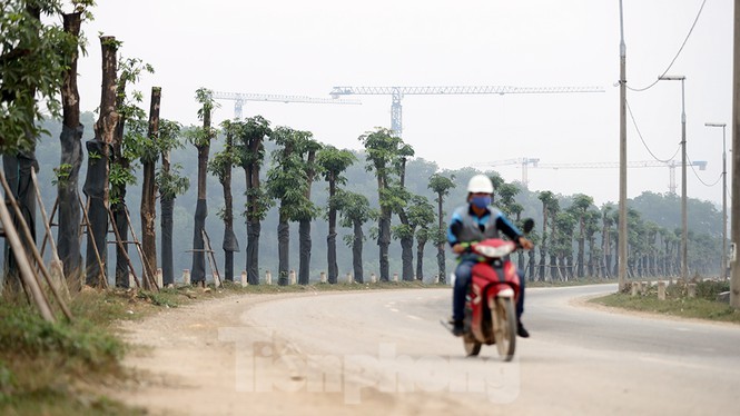 Ngam loc non hang hoa sua chuyen tu Ha Noi len bai rac Nam Son-Hinh-9