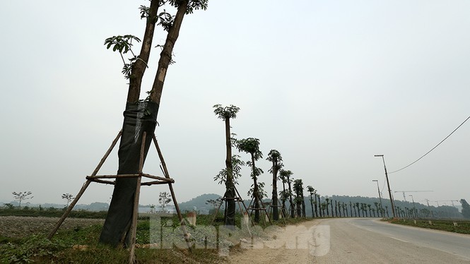 Ngam loc non hang hoa sua chuyen tu Ha Noi len bai rac Nam Son