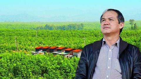 Ai ganh ho khoan lo ngan ty nam 2019 cho Hoang Anh Gia Lai cua bau Duc?