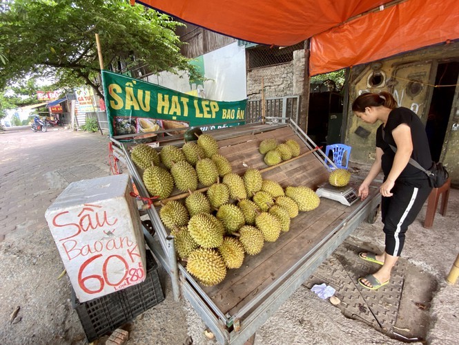 Hoa qua sieu re tran via he Ha Noi-Hinh-2