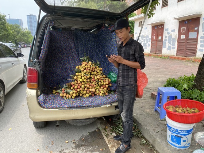 Hoa qua sieu re tran via he Ha Noi-Hinh-6