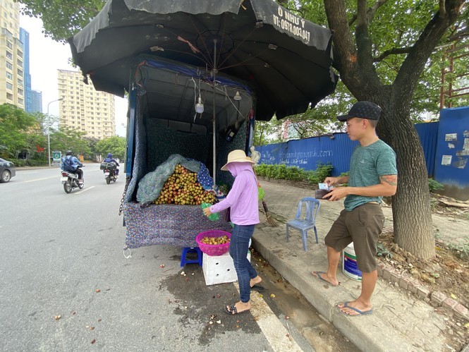 Hoa qua sieu re tran via he Ha Noi-Hinh-8