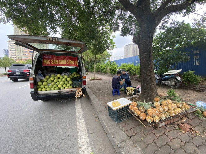 Hoa qua sieu re tran via he Ha Noi-Hinh-9