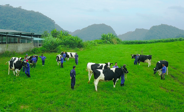 Vinamilk va GTN sap chi hon ngan ty de mua vao 39 trieu co phieu Moc Chau Milk