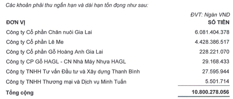 Hoang Anh Gia Lai chuyen tu lo sang lai sau soat xet, tiep tuc xin gian no giam lai suat-Hinh-2