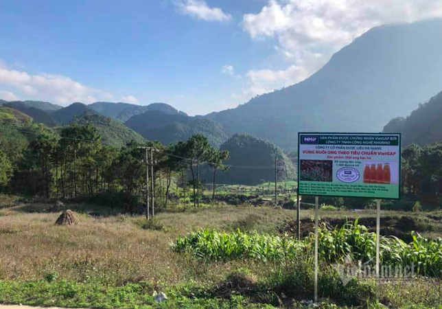 Dac san cao nguyen da: Mat ong bac ha xin, tien trieu van kho mua-Hinh-5