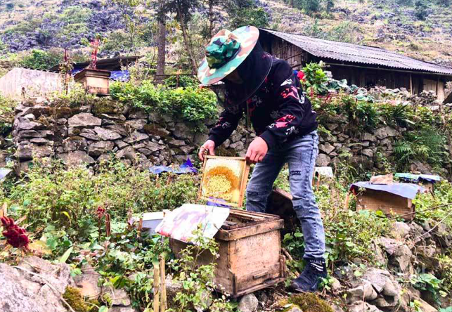 Dac san cao nguyen da: Mat ong bac ha xin, tien trieu van kho mua-Hinh-6