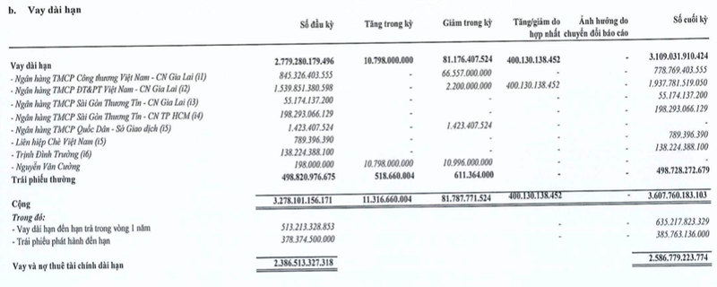 DLG: Cho cac ca nhan vay gan 2.400 ty khong co tai san dam bao, no ngan hang qua han thanh toan-Hinh-4