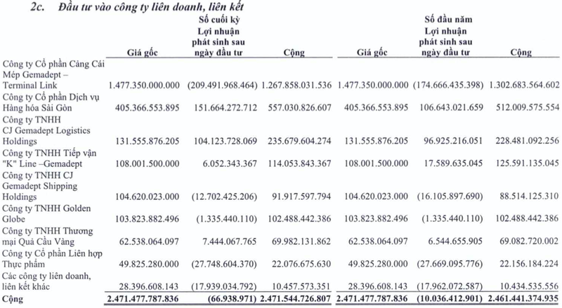 Rot 1.500 ty vao Gemalink, Gemadept da chiu lo hon 200 ty dong-Hinh-2