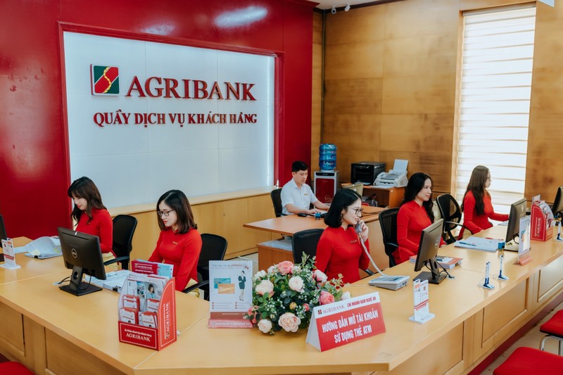 Agribank bao lai giam ve 10.354 ty, no xau tang len 21.500 ty dong-Hinh-3