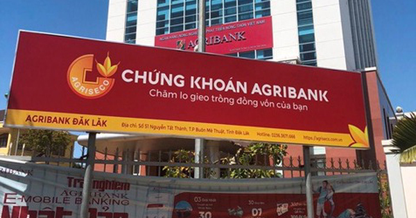 Ban khoan dau tu vao HNG, Chung khoan Agribank tang lai them 136 ty sau soat xet-Hinh-2