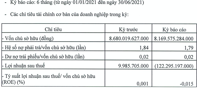 Lo luy ke 2.400 ty, HNG dang vay hon 12.000 ty tai nhung ngan hang nao?