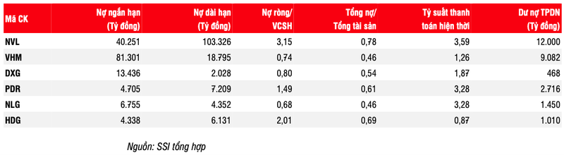 10 doanh nghiep bat dong san phat hanh trai phieu 'khung' nhat 9 thang-Hinh-2