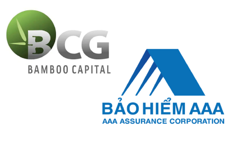 Ve voi Bamboo Capital, Bao hiem AAA dat muc tieu len san chung khoan