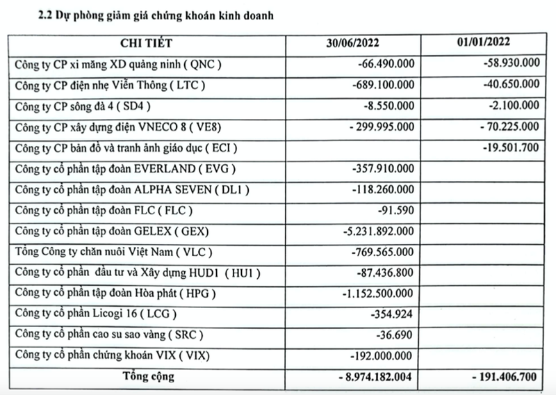 Dau tu CMC thua lo tro lai do du phong giam gia chung khoan