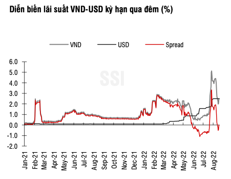 SSI Research: Chenh lech giua lai suat VND va USD lien ngan hang o vung rui ro