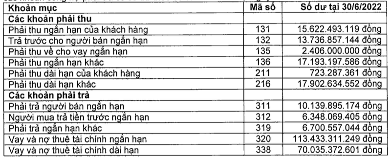 Cmistone Viet Nam (CMI) va loat van de nong khien kiem toan nghi ngo kha nang hoat dong lien tuc