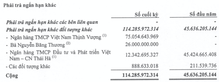 Nhung but toan “la” trong bao cao soat xet cua Tap doan Dau tu KTT-Hinh-2