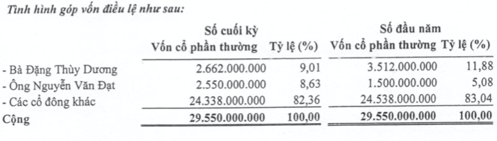 Nhung but toan “la” trong bao cao soat xet cua Tap doan Dau tu KTT-Hinh-3