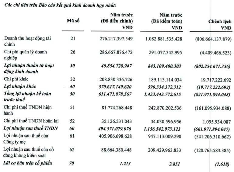 Thaiholdings dieu chinh lai rong giam 10% sau kiem toan-Hinh-3