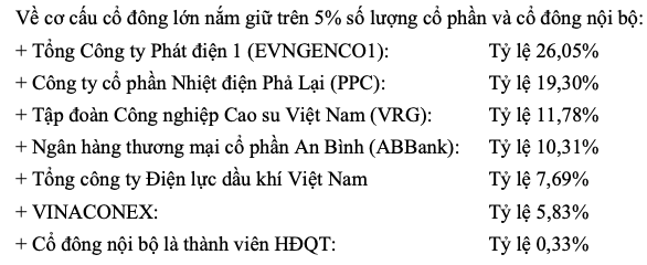 Loat ong lon ‘chong lung’, EVN Quoc te len ke hoach 2023 the nao?-Hinh-3