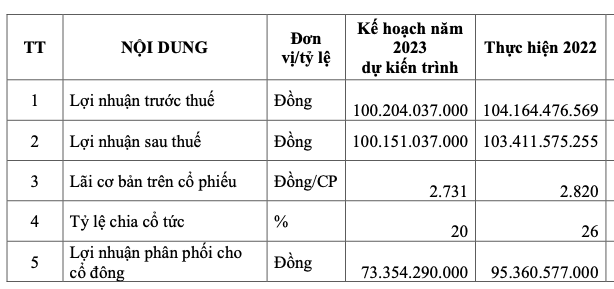 Loat ong lon ‘chong lung’, EVN Quoc te len ke hoach 2023 the nao?