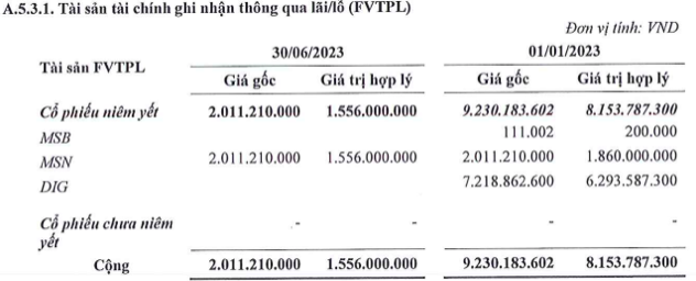 Chung khoan Lien Viet dut lo trong quy 2, danh muc co DIG, MSN va TCB-Hinh-2