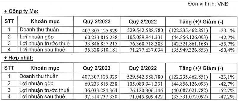 Lai quy 2 di lui 46%, Soi The Ky van chua phuc hoi, ky vong gi cho 2024?