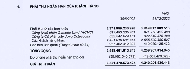 Ricons: Chung toi da khong nhan duoc phan hoi thien chi tu Coteccons-Hinh-2