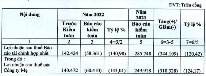 Vi sao Hai Phat chuyen tu co lai sang lo rong 60 ty dong sau kiem toan 2022?